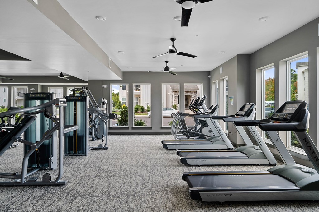 The Newton Apartments