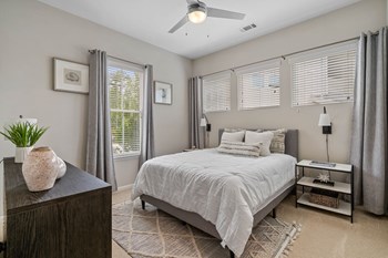 Spacious Bedroom at The Newton Apartments in Charlotte, NC Spacious Bedroom at The Newton Apartments in Charlotte, NC - Photo Gallery 3