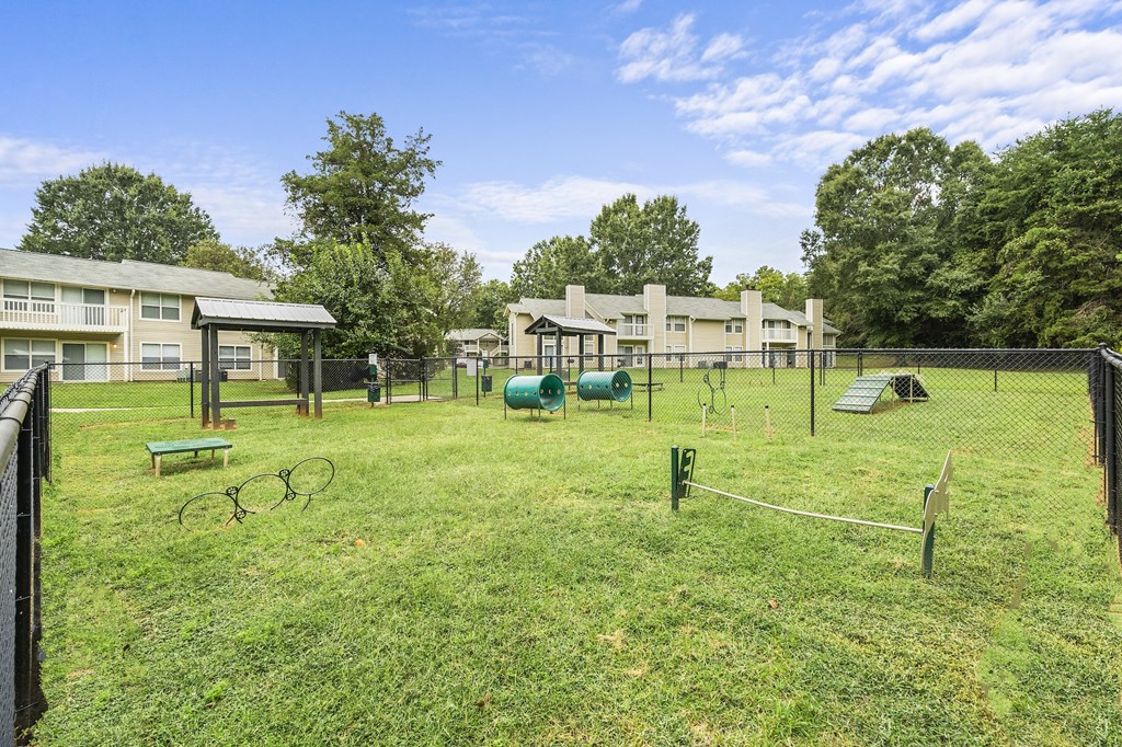 the preserve at ballantyne commons dog park
