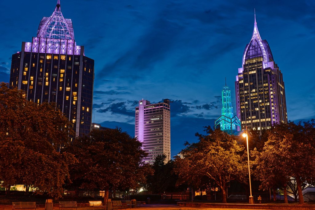 the skyline at night in the city