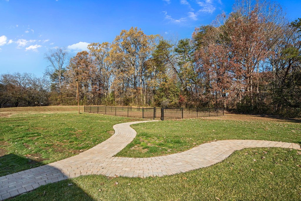 a pathway through a park with grass and trees