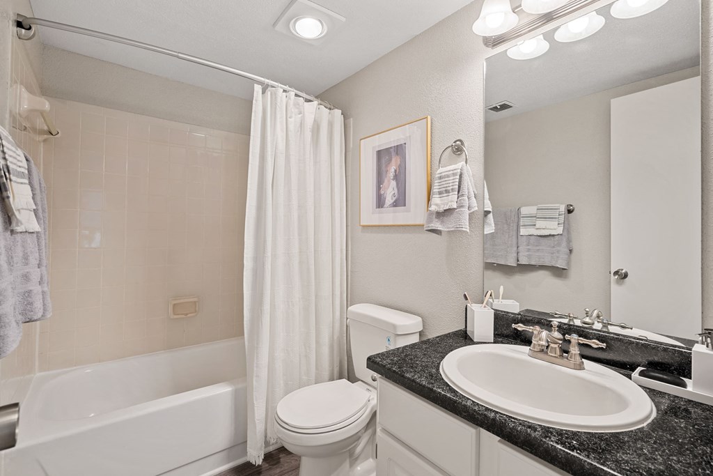 a bathroom with a sink and a toilet and a tub