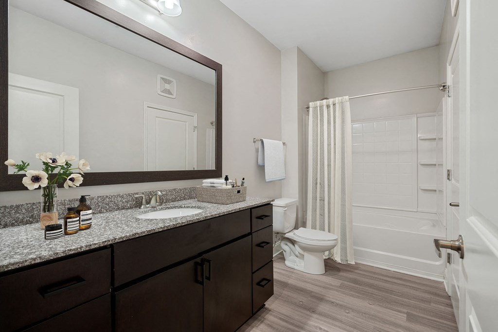 a bathroom with a mirror and a toilet and a shower