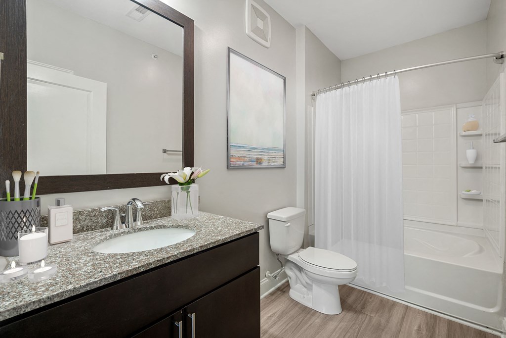 a bathroom with a sink and a toilet and a shower