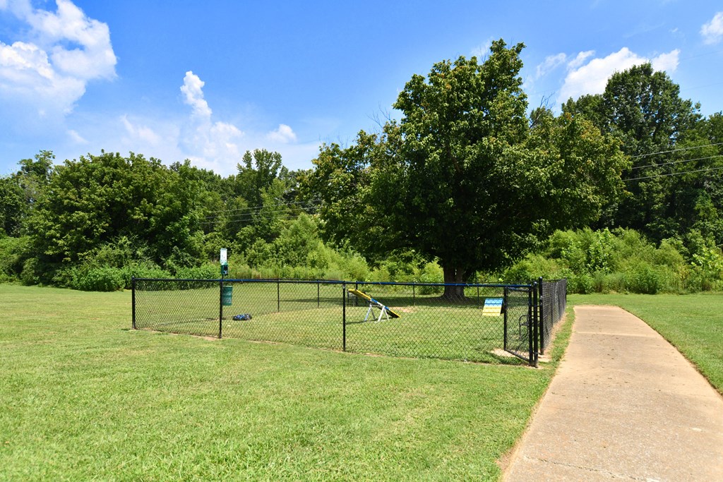 a large grassy area with a playground and trees in the background
