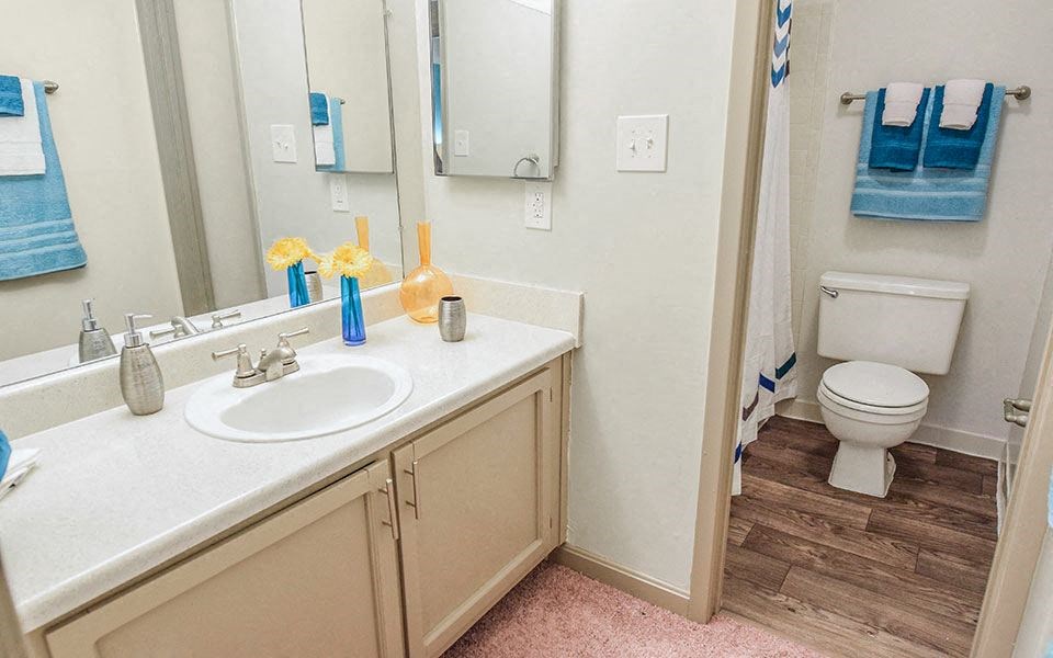 a bathroom with a toilet and a sink and a mirror