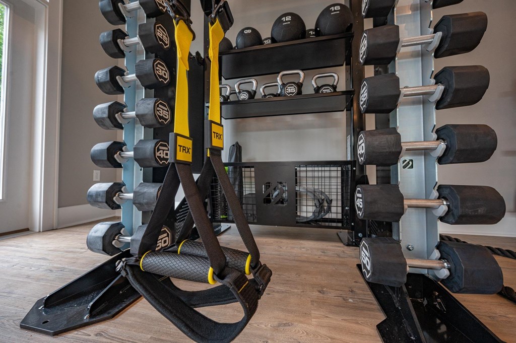 Weights in Fitness Center