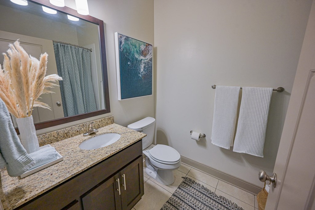 a bathroom with a sink and a toilet and a mirror
