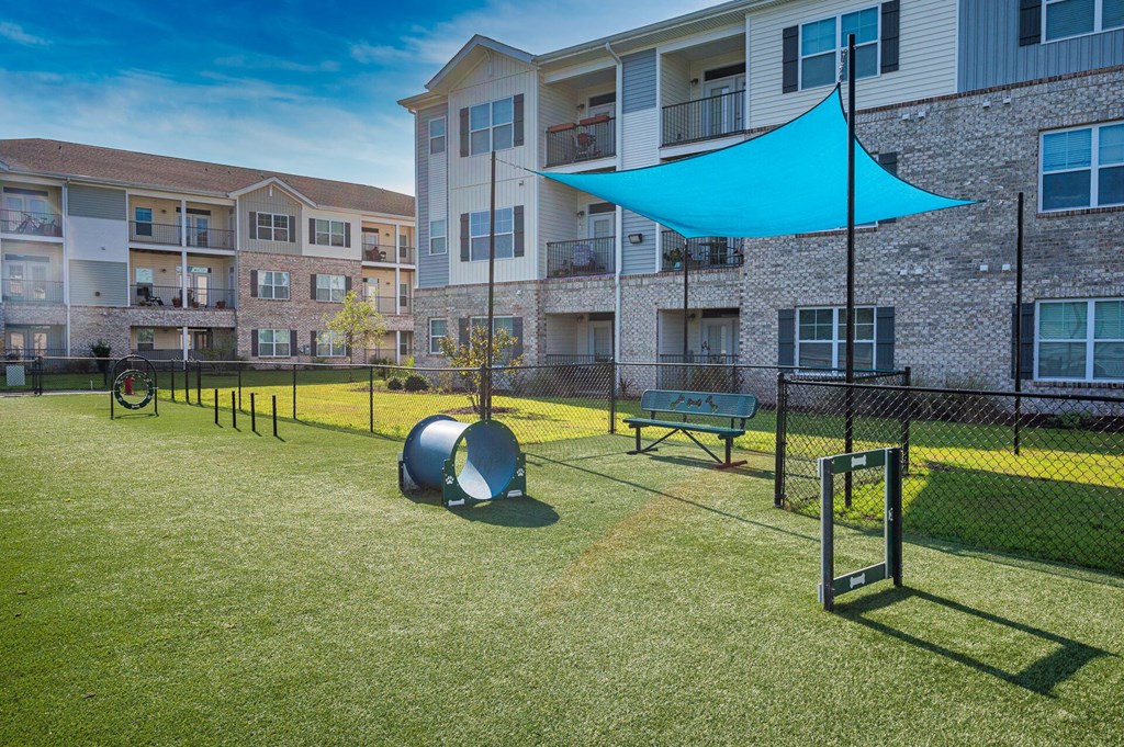 our apartments have a dog park and a playground