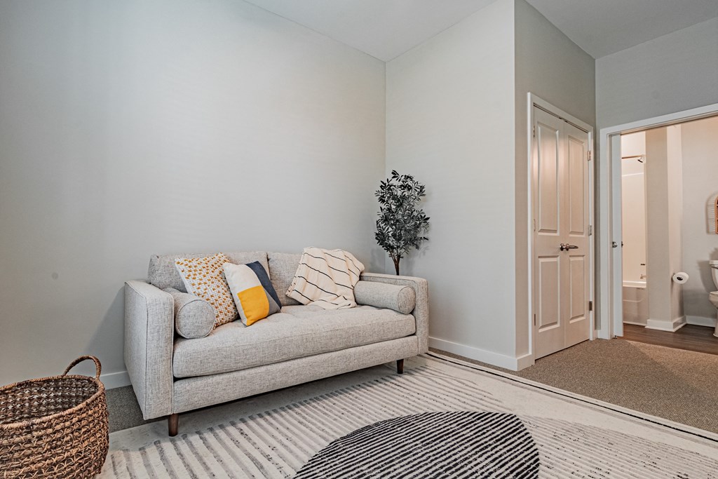 a living room with a couch and a rug