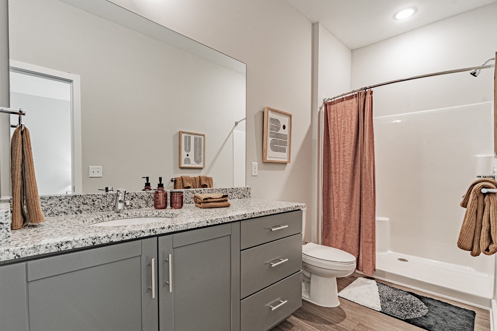 a bathroom with a sink and a toilet and a shower
