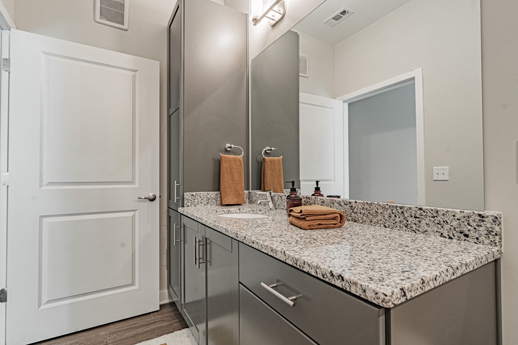 a bathroom with a sink and a mirror and a shower