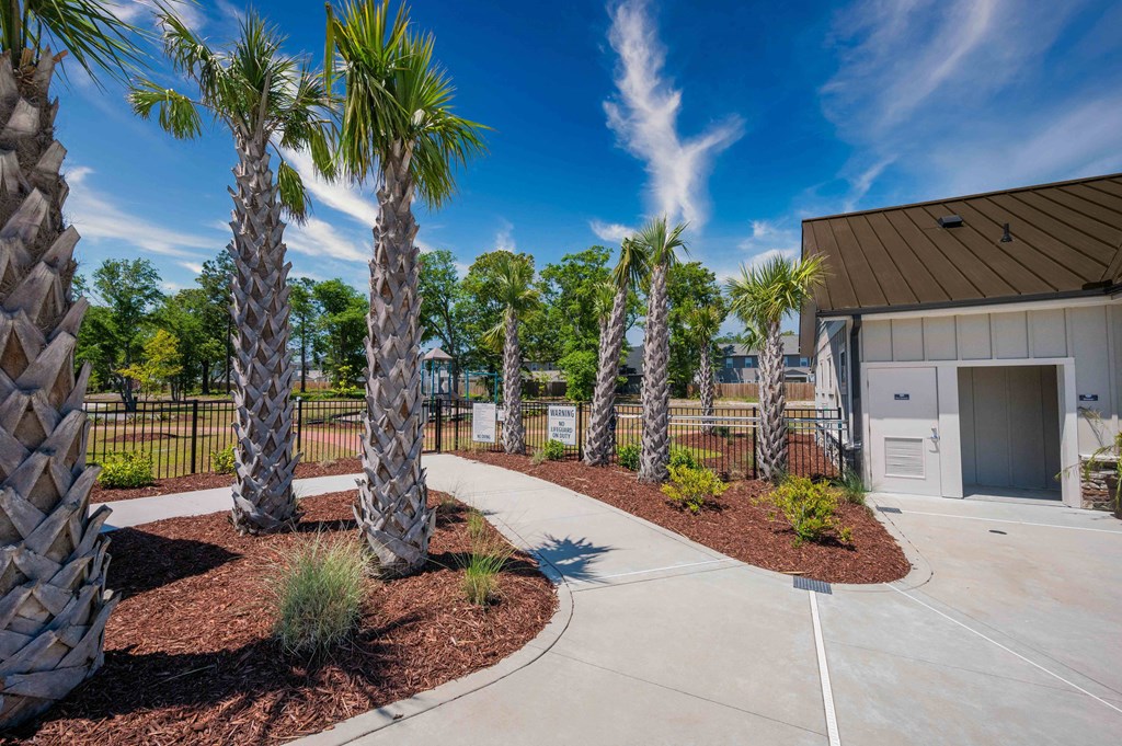 a driveway with palm trees in front of a building