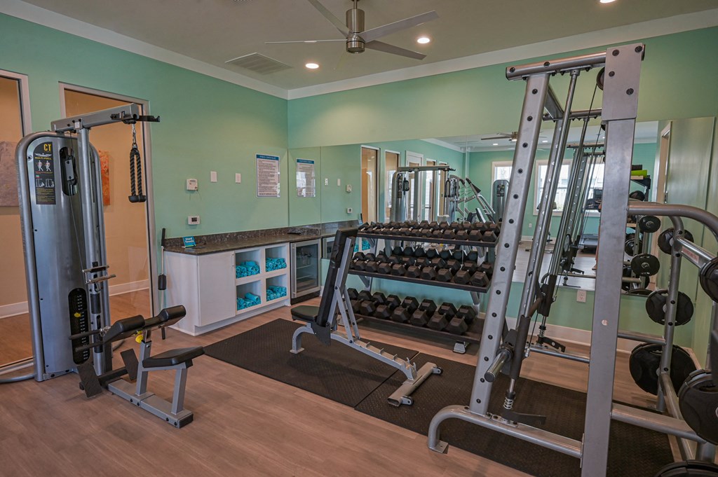 a gym with weights and a rack of dumbbells
