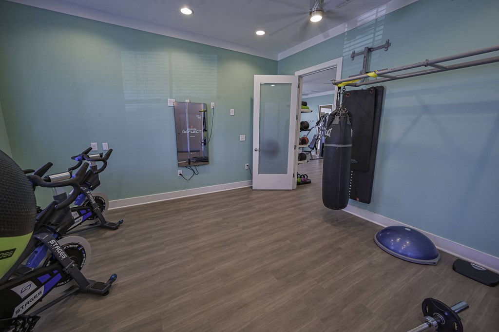 a gym with cardio equipment and a punching bag on the wall