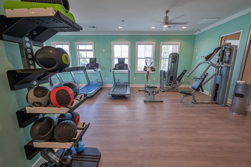 a gym with cardio equipment and weights in a home gym