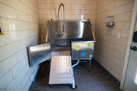 Pet Wash at Millis and Main in Jamestown, NC