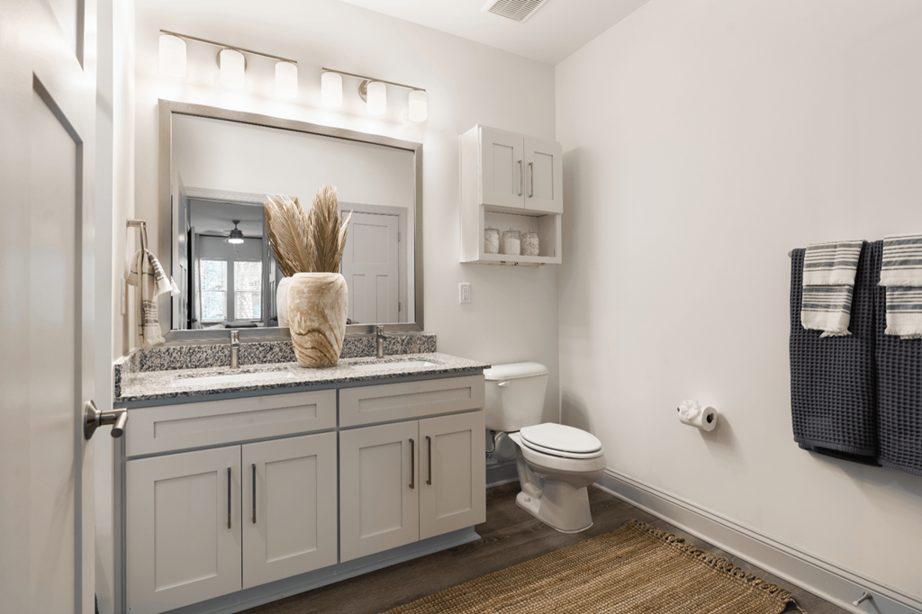 a bathroom with a toilet and a sink and a mirror