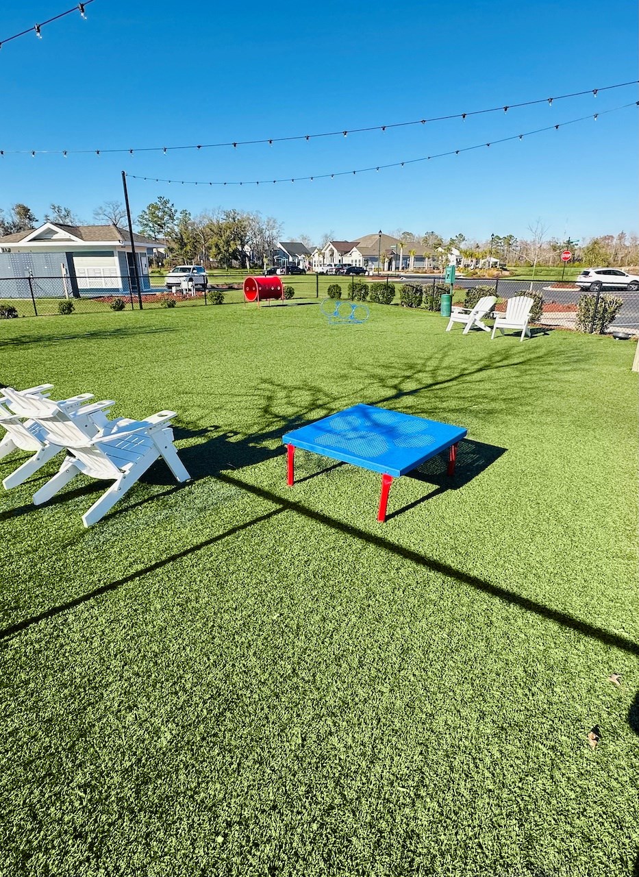 a blue ping pong table in the middle of a yard with chairs