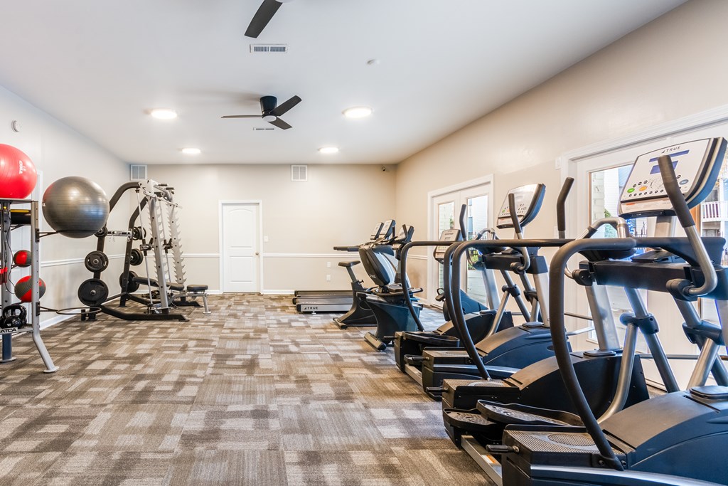 A gym with treadmills, weights, and exercise balls.