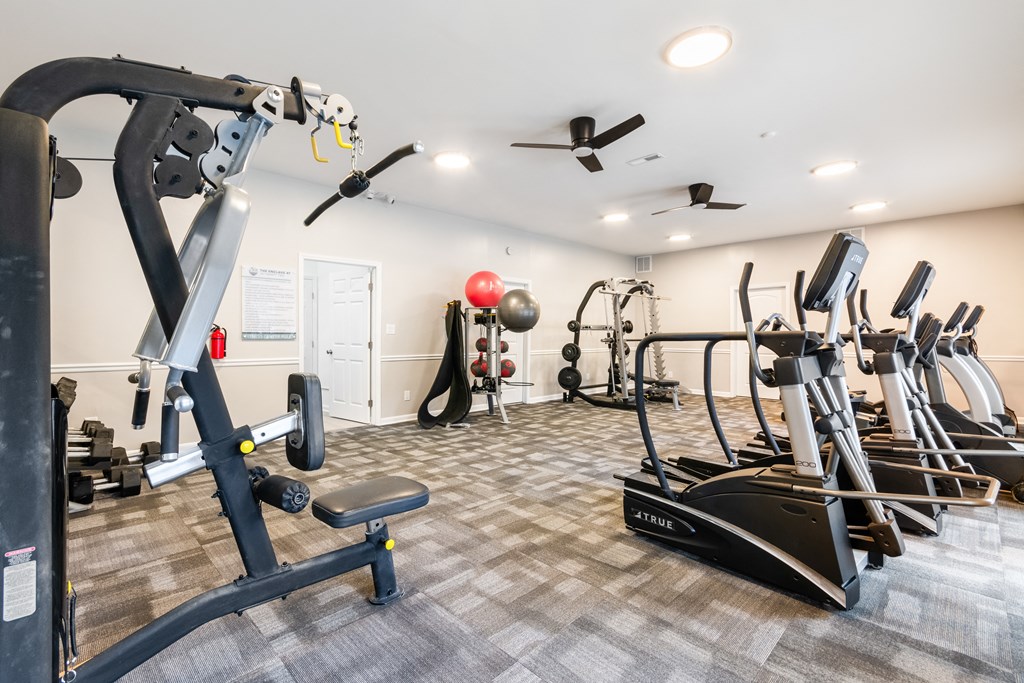 A gym with a variety of equipment including treadmills, weights, and a bench.