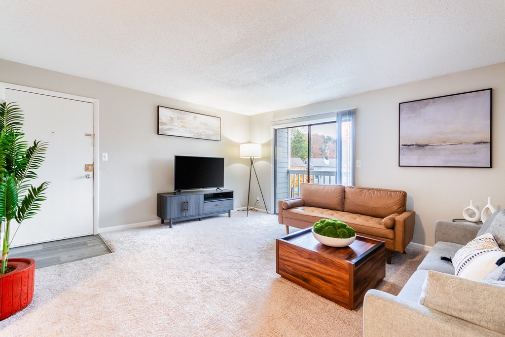 A living room with a couch, a coffee table, and a television.