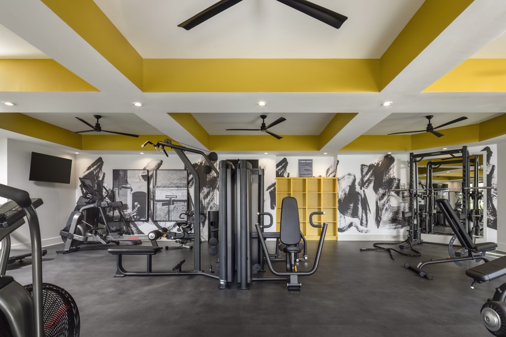 A gym with a variety of equipment including treadmills, weights, and a bench press.