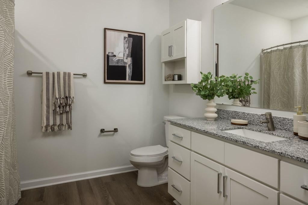 A bathroom with a toilet, sink, and a plant.