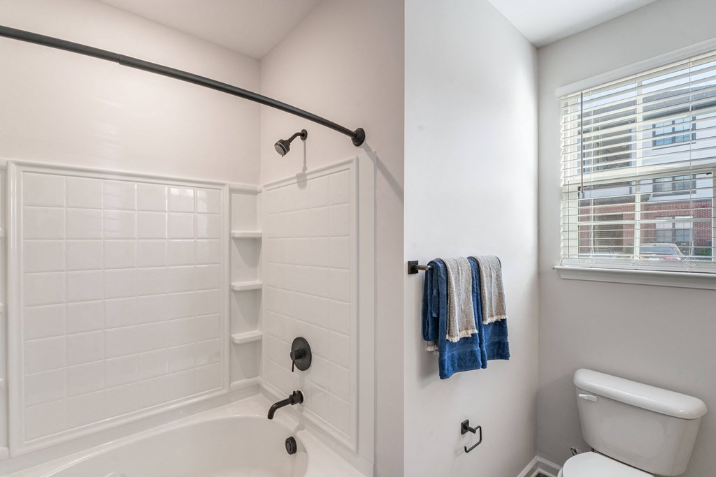 a bathroom with a shower and a toilet and a window