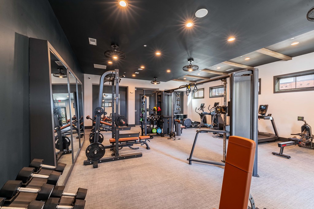 a home gym with weights and exercise equipment and mirrors