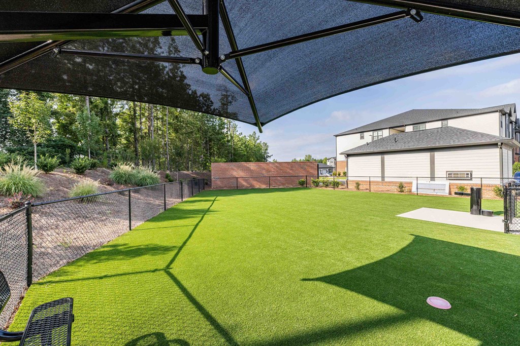 A backyard with a green lawn and a pink frisbee.