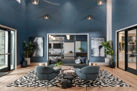 A living room with a grey sofa and a black and white rug.