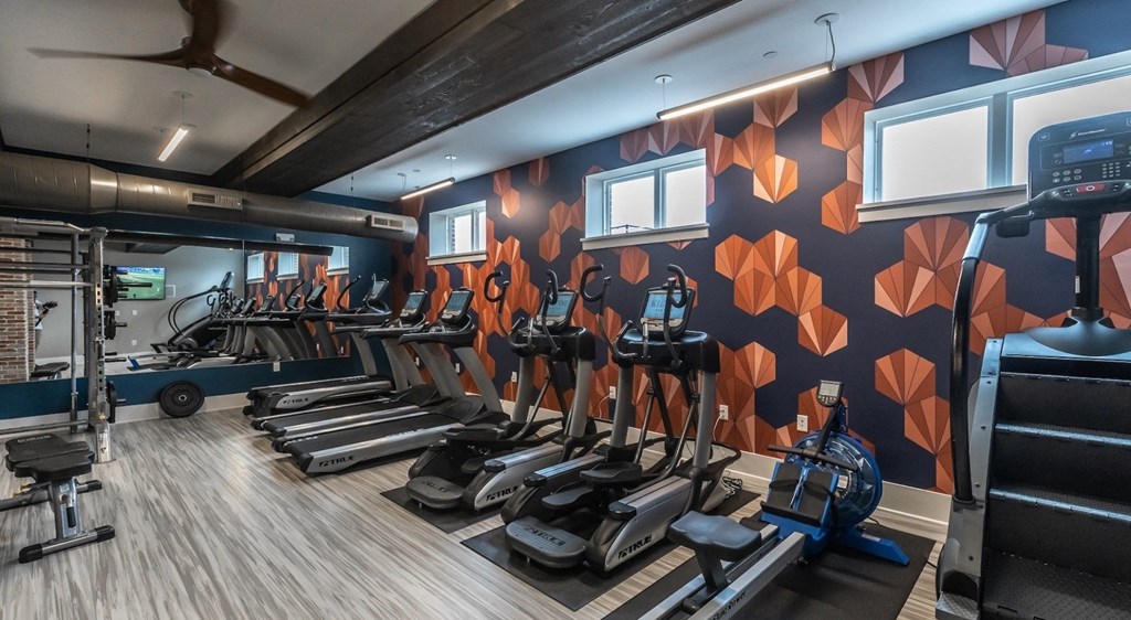 a gym with cardio equipment and a large wall of exercise machines