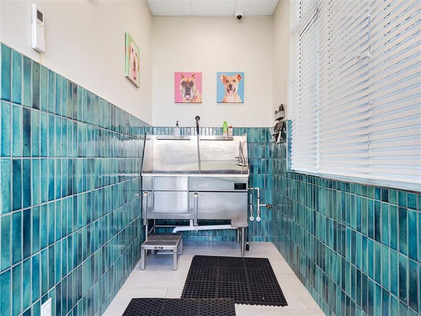 The Cape At Savona Point