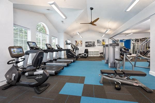 24-Hour Expanded Cardio and Strength Training Fitness Center