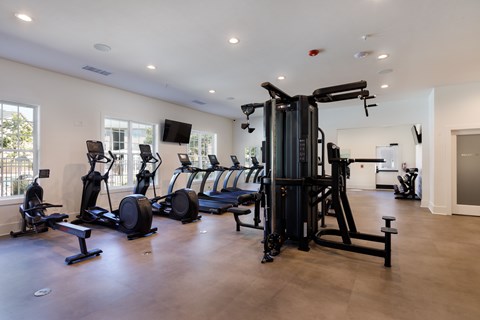 A spacious gym with a variety of equipment including treadmills, elliptical machines, and a weight machine.