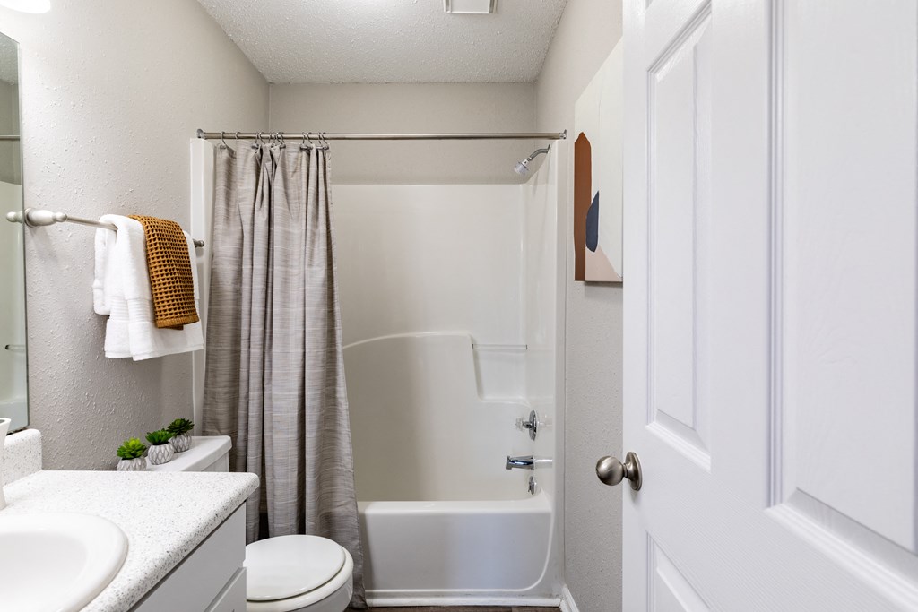 a bathroom with a shower and a toilet and a sink