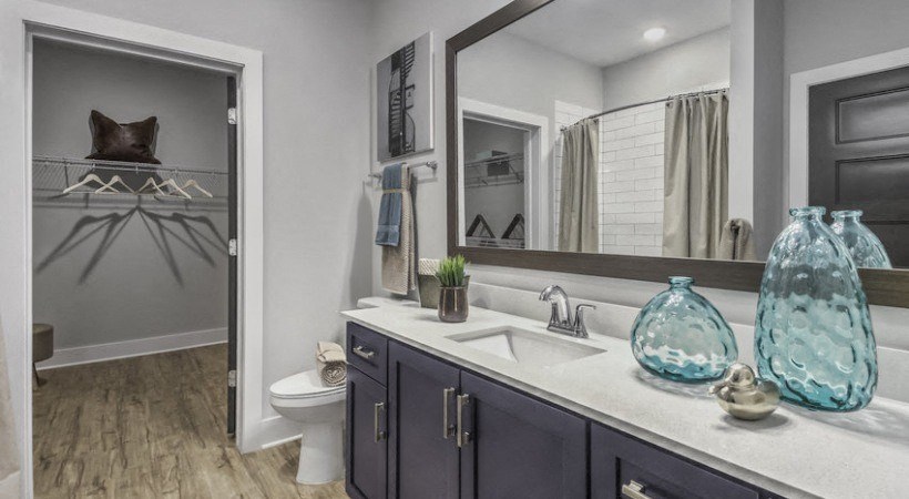 a bathroom with a sink and a mirror and a toilet