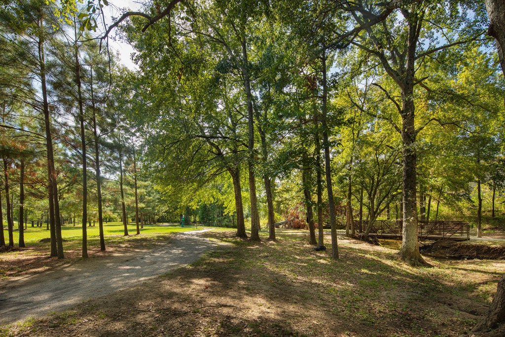 Vestavia Reserve Walking Trail beside lake views