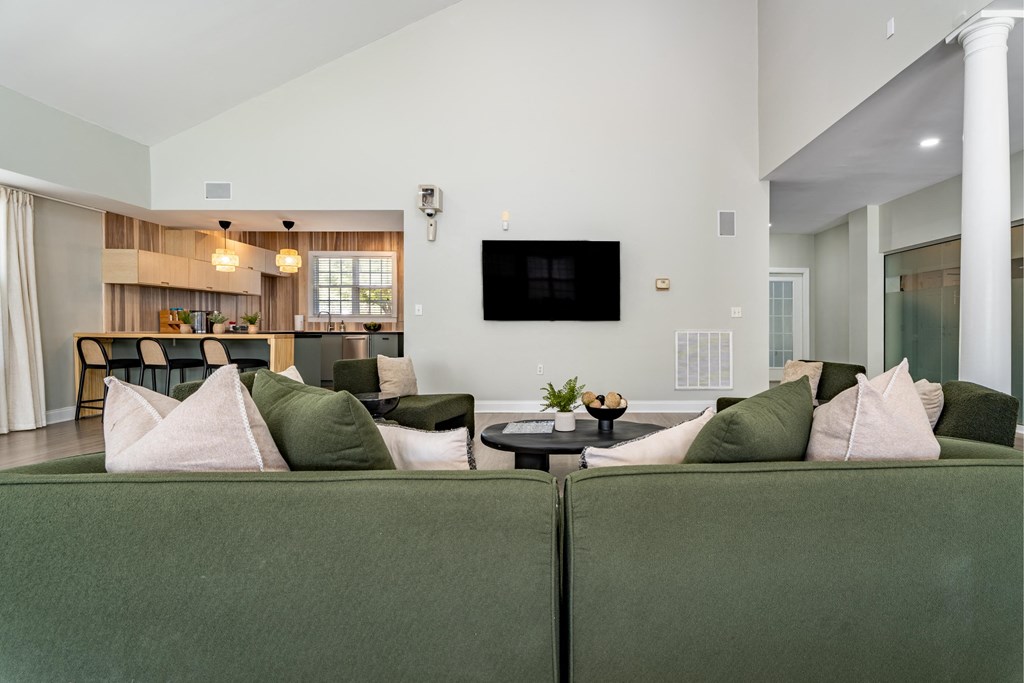 a living room with couches and a tv