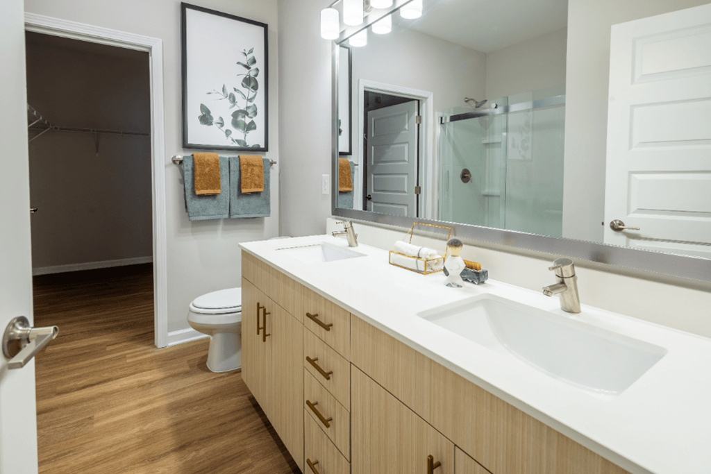 a bathroom with a sink and a toilet and a mirror