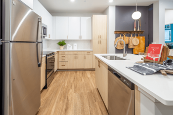 3529 Adirondack Way 1-3 Beds Apartment for Rent - Photo Gallery 4