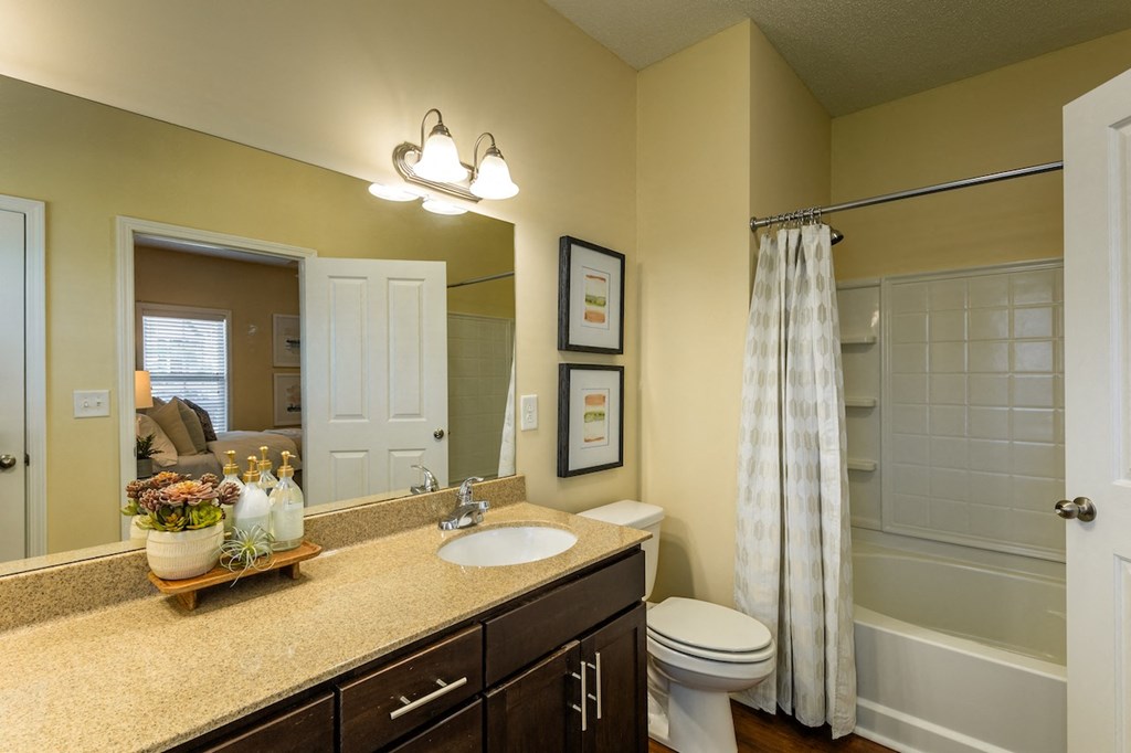 a bathroom with a sink and a toilet