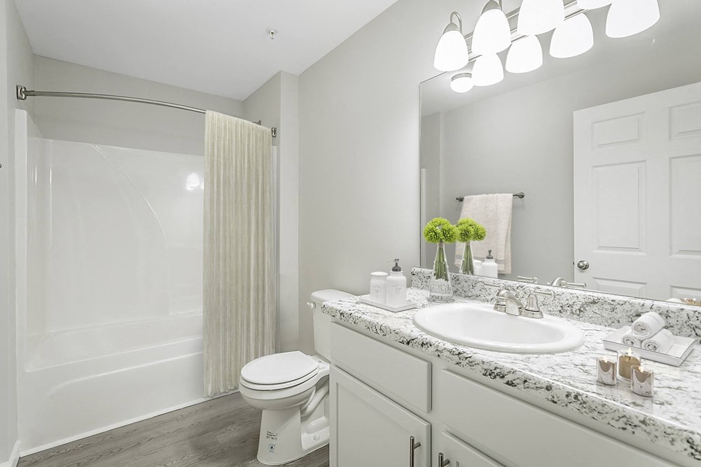 a bathroom with a sink and a toilet and a shower