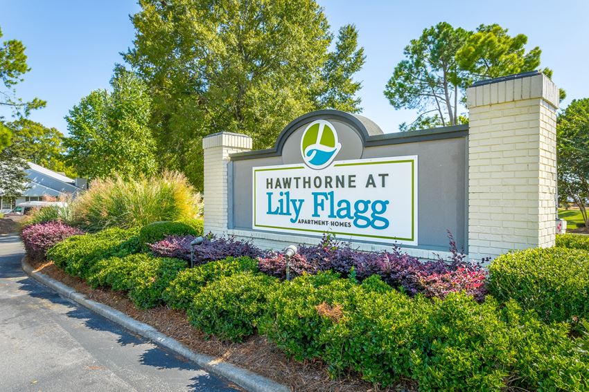 Welcome Home to Hawthorne at Lily Flagg in Huntsville, AL - Photo Gallery 1