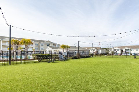 the preserve at ballantyne commons dog park apartments