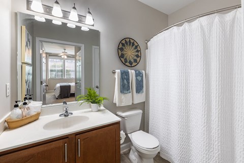 a bathroom with a shower and a toilet and a sink