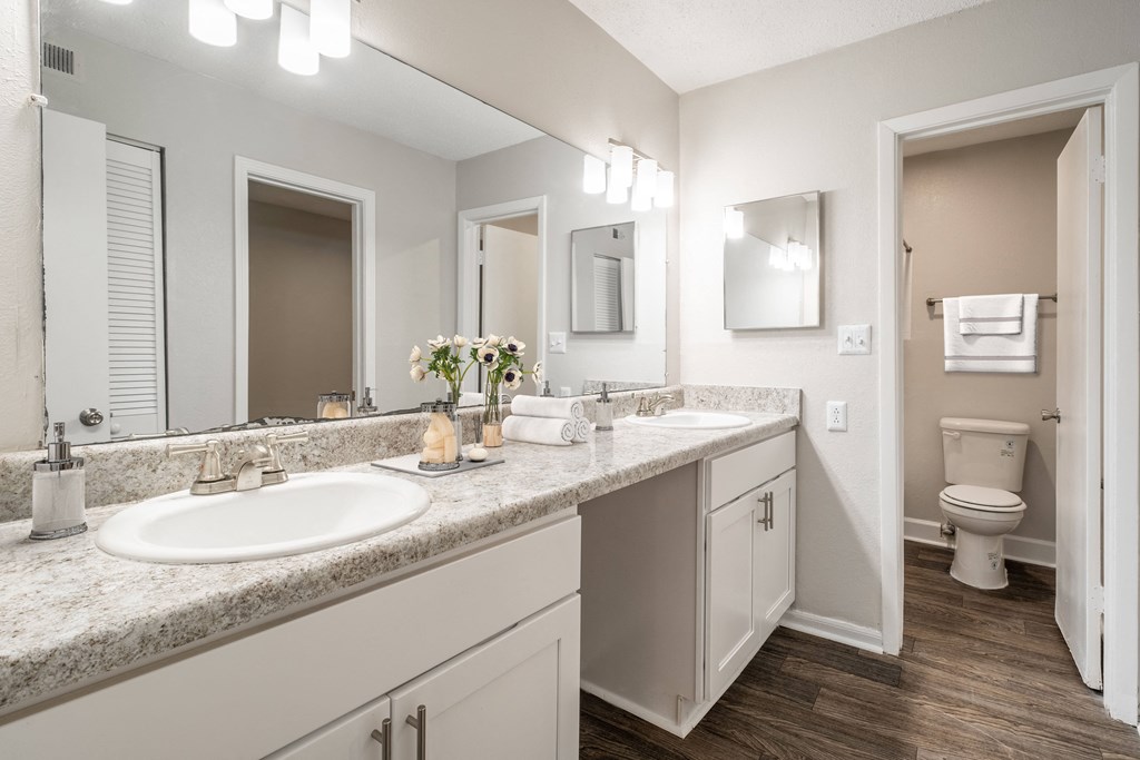 a bathroom with a sink and a mirror and a toilet