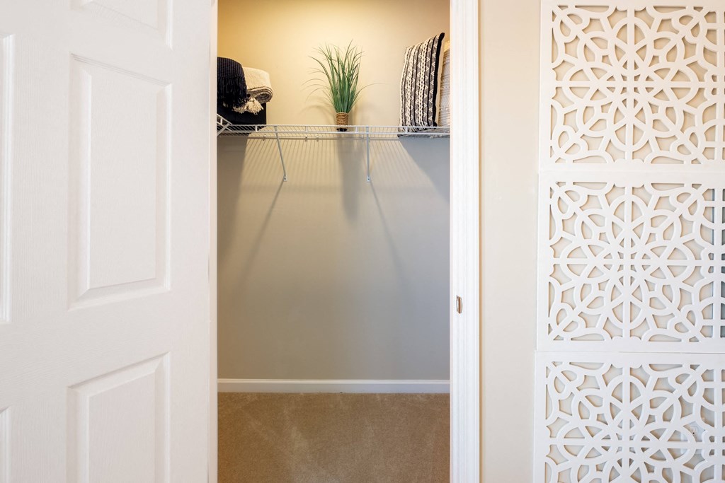 a room with a closet and a white door