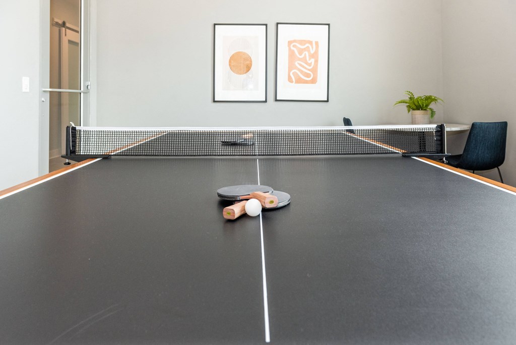a ping pong table in a conference room with two balls on it